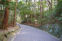 Medium_01　県道側からの参道